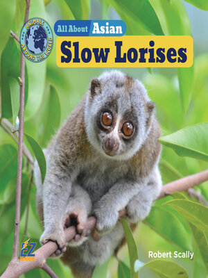 cover image of All About Asian Slow Lorises